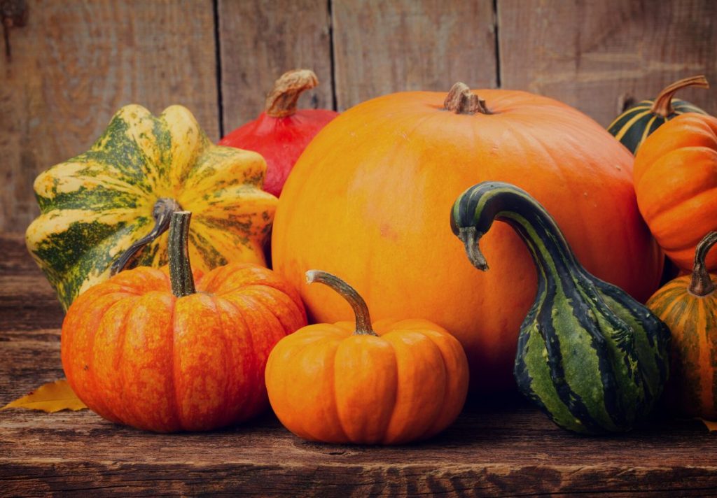 proprietà cosmetiche zucca